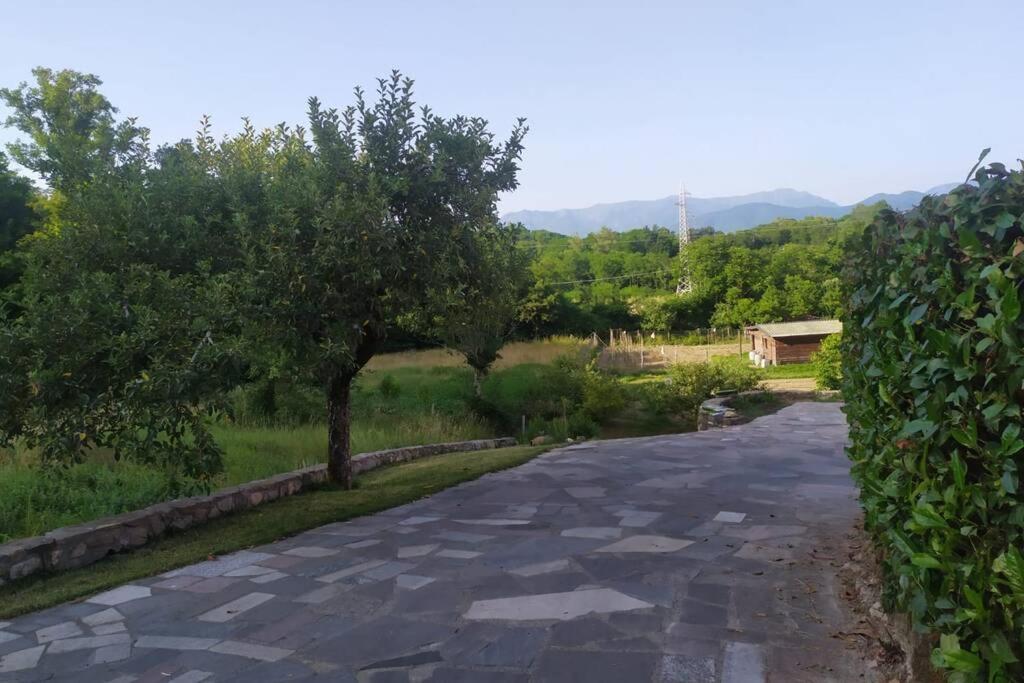Appartamento Nel Verde Tra Cinque Terre E Versilia Barbarasco Exterior foto